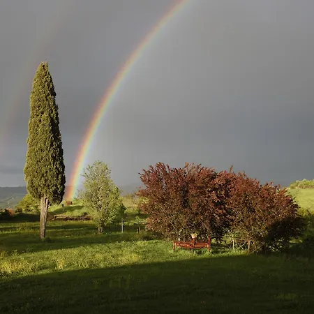 Spazzavento
