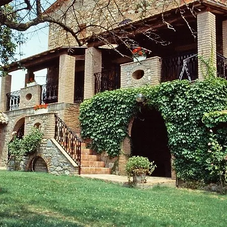 Spazzavento * Cetona